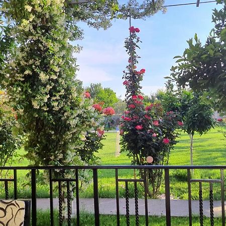 Room With Private Garden Shkoder Exterior photo